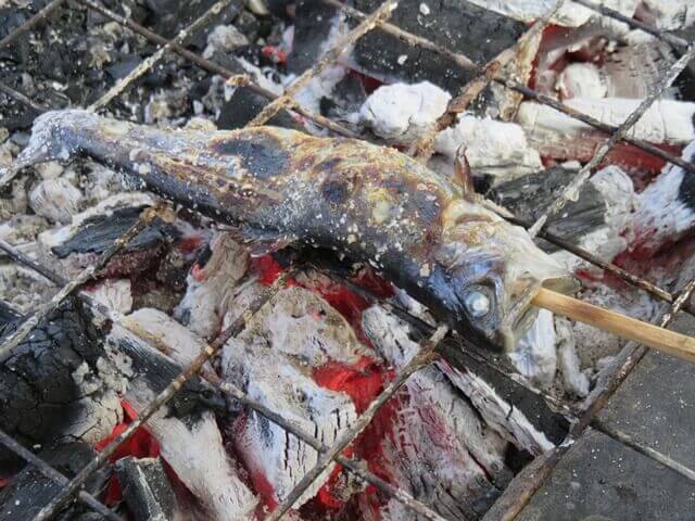 小松沢レジャー農園で釣ったマスの炭火焼き