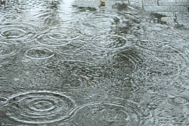 梅雨時期のイメージ画像2
